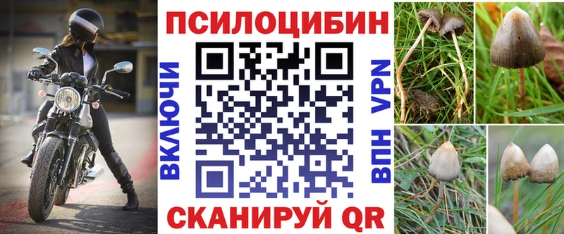 Галлюциногенные грибы мицелий  купить наркотик  Североморск 